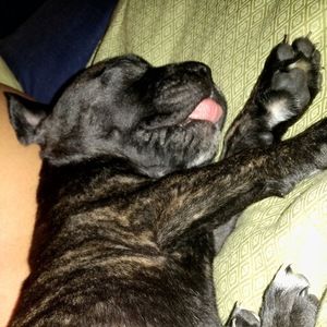 Meet your Posher, Billiejean